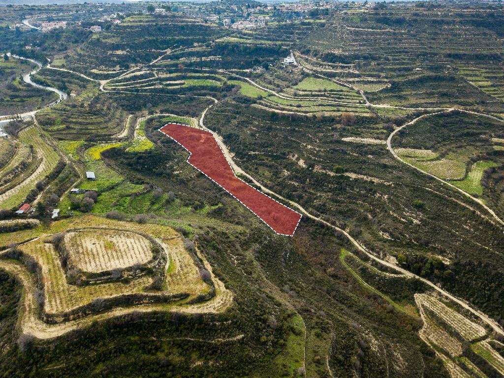 Field - Pachna, Limassol