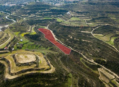 Pachna, Limassol Agricultural Field For Sale | WW27936