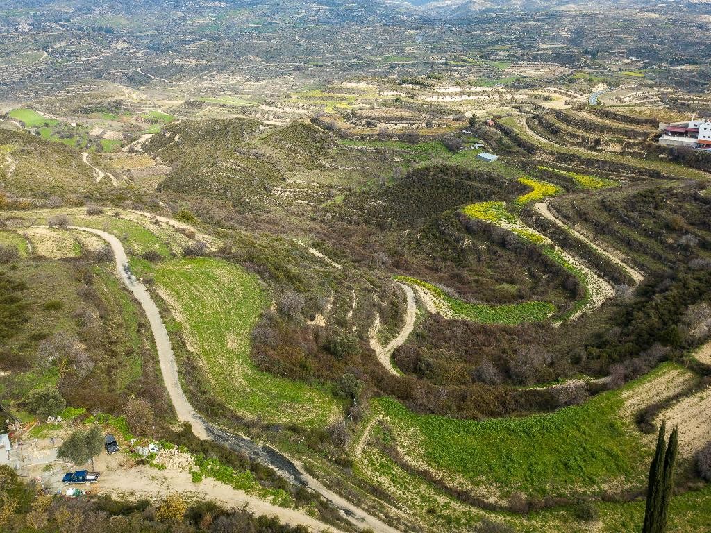 Field - Pachna, Limassol