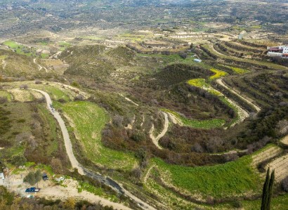 Pachna, Limassol Agricultural Field For Sale | WW27936