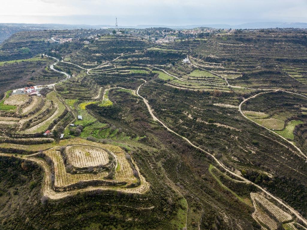 Field - Pachna, Limassol