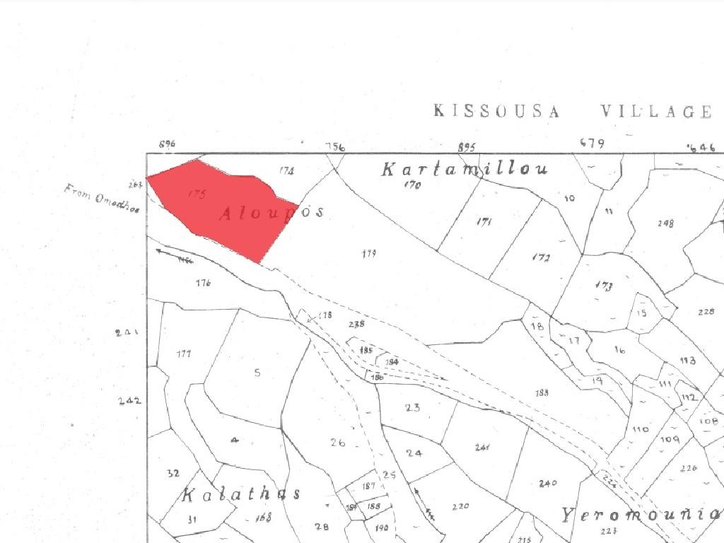 Field - Kissousa, Limassol