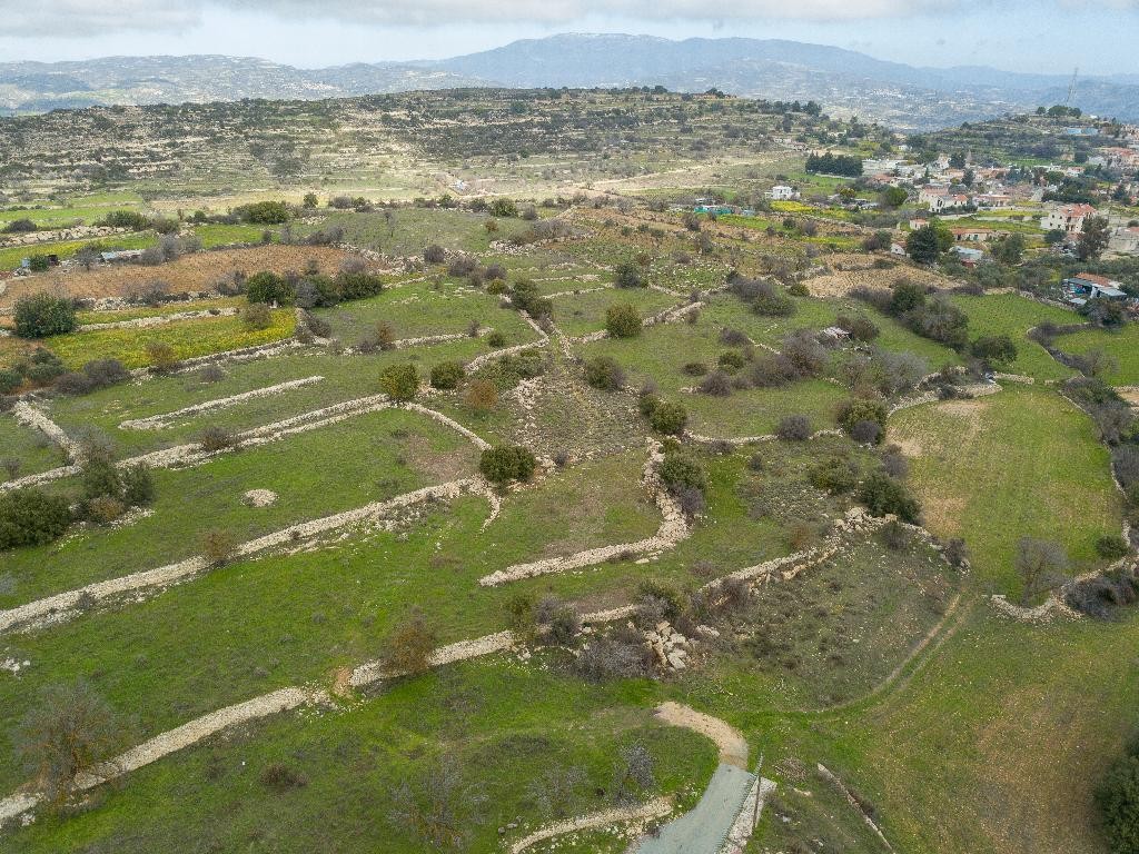Field - Pachna, Nicosia