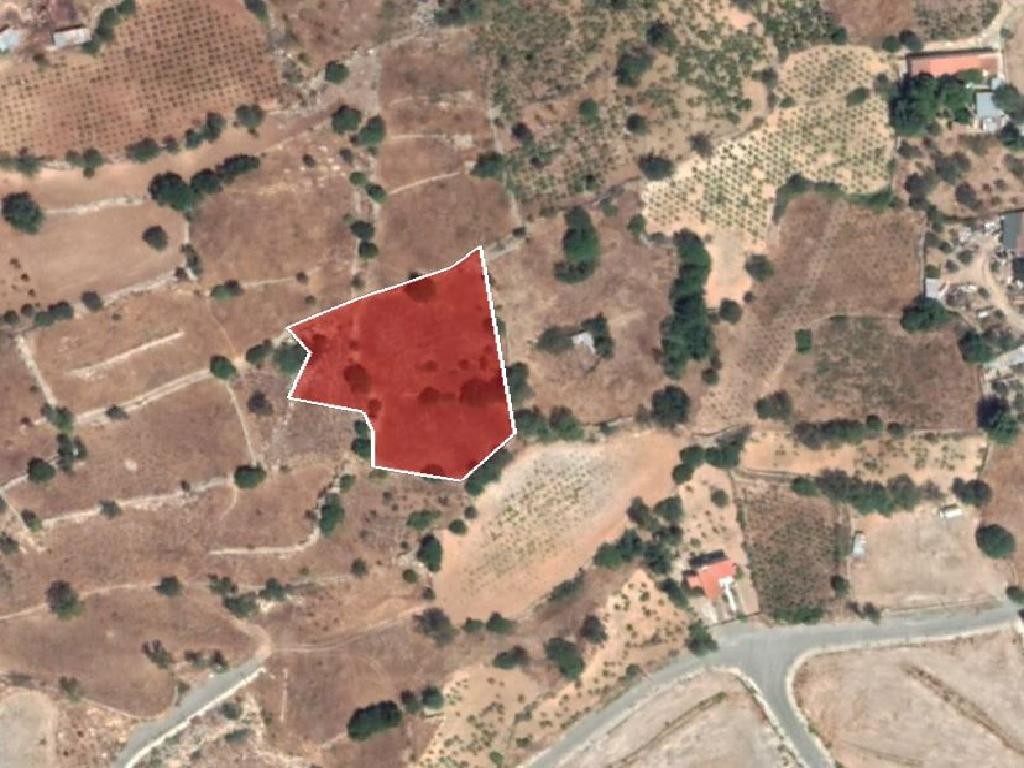 Field - Pachna, Nicosia