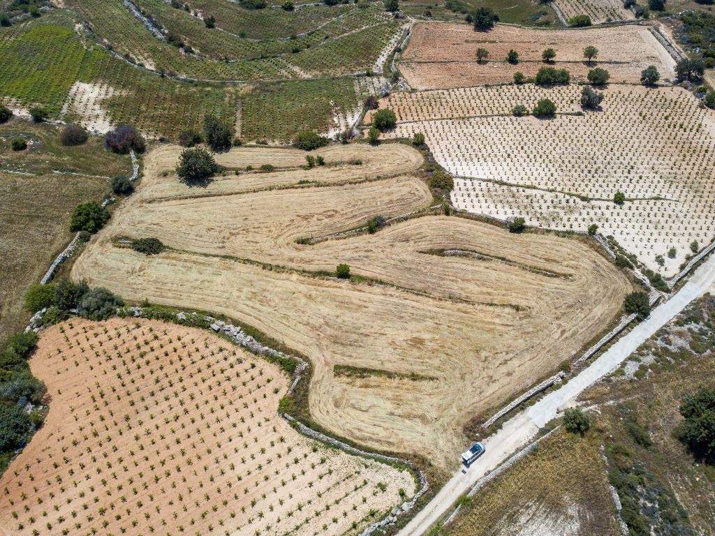 Field - Pachna, Limassol