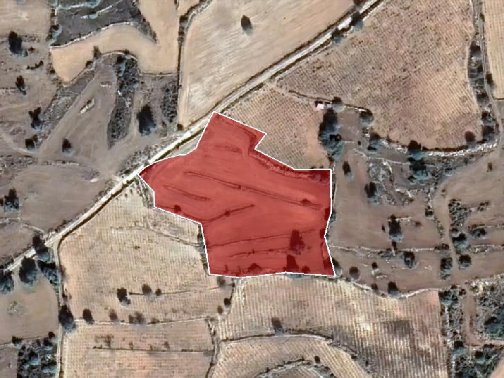 Field - Pachna, Limassol