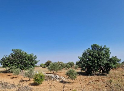 Pachna, Limassol Residential Field For Sale | WW27942