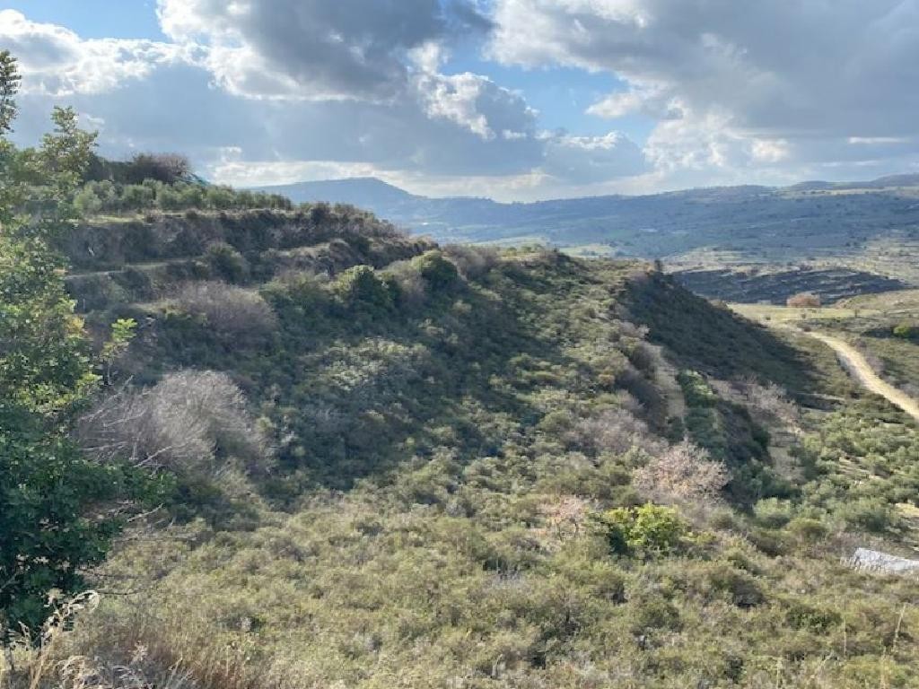 Pachna, Limassol Agricultural Field For Sale | WW27943