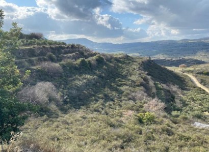 Pachna, Limassol Agricultural Field For Sale | WW27943