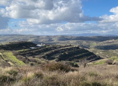 Pachna, Limassol Agricultural Field For Sale | WW27943