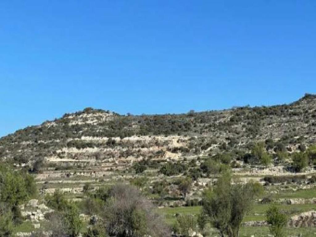 Pachna, Limassol Agricultural Field For Sale | WW27944