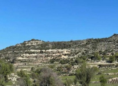 Pachna, Limassol Agricultural Field For Sale | WW27944