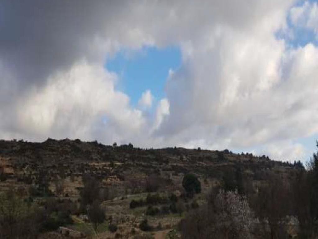 Field - Pachna, Limassol