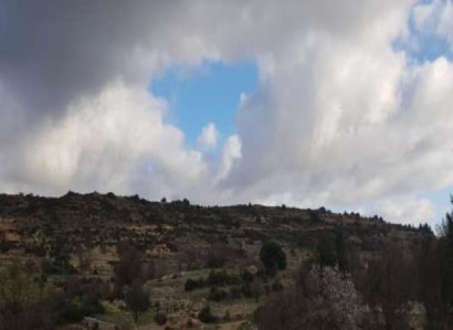 Pachna, Limassol Agricultural Field For Sale | WW27944