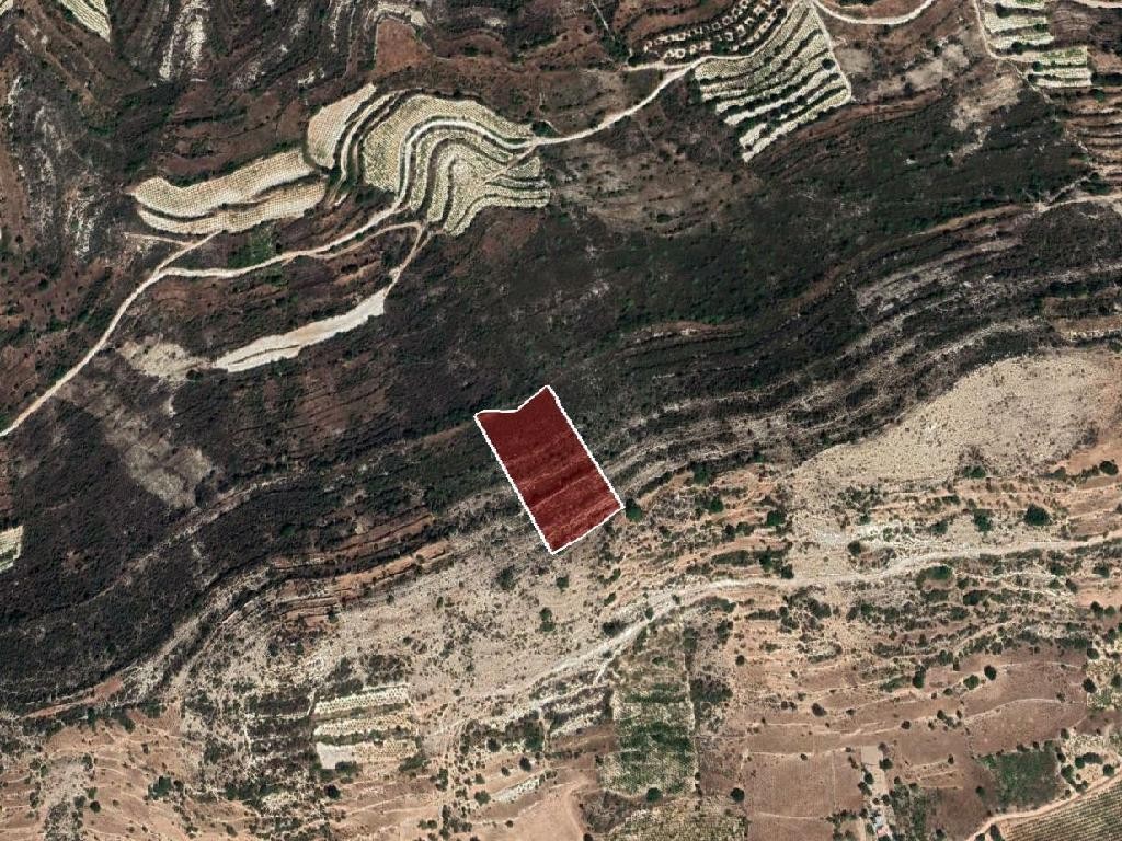 Field - Pachna, Limassol