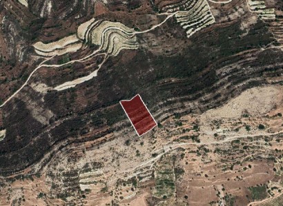 Pachna, Limassol Agricultural Field For Sale | WW27944