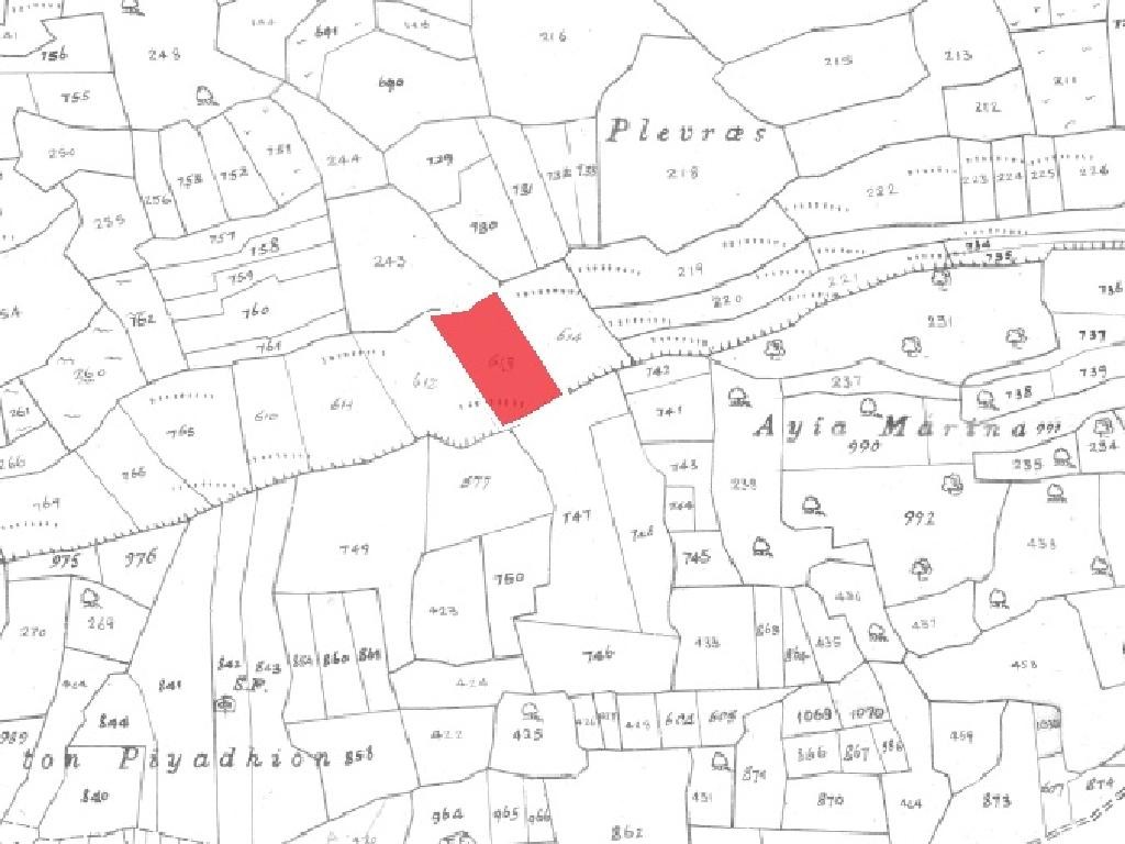 Field - Pachna, Limassol