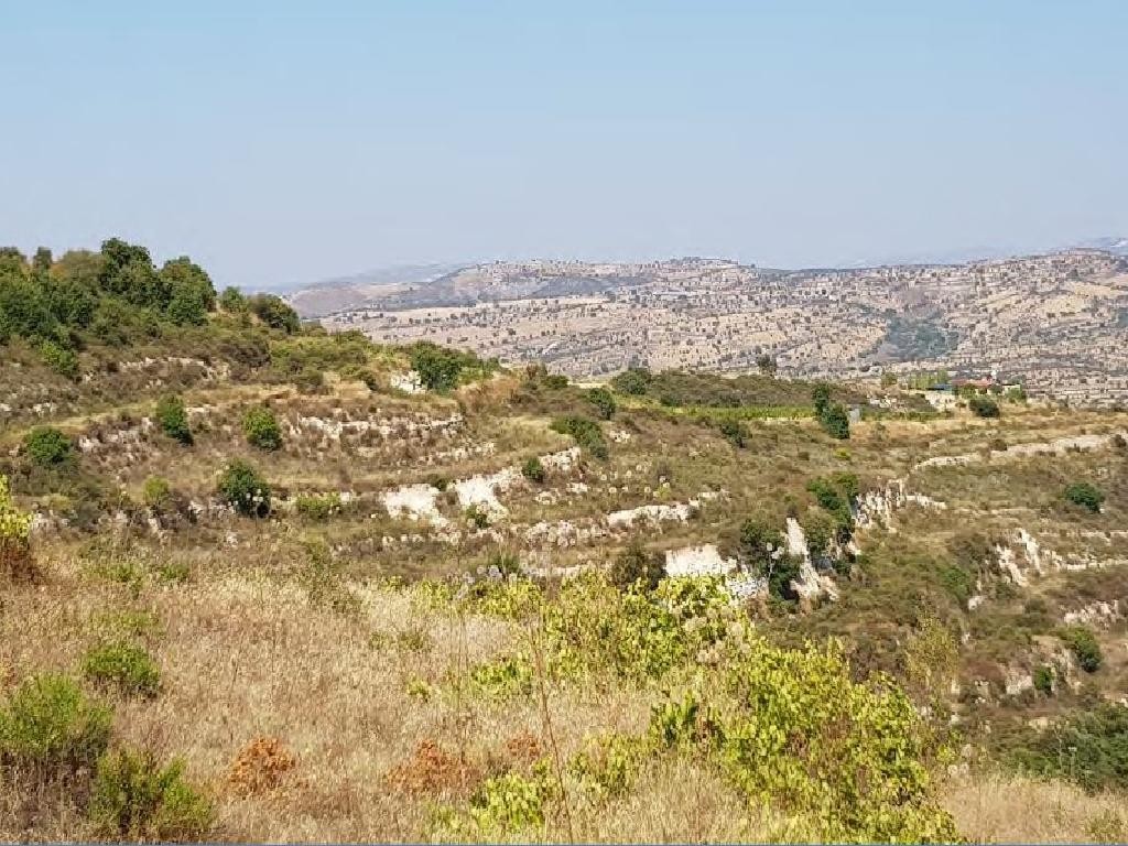 Pachna, Limassol Agricultural Field For Sale | WW27945