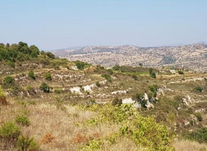 Pachna, Limassol Agricultural Field For Sale | WW27945