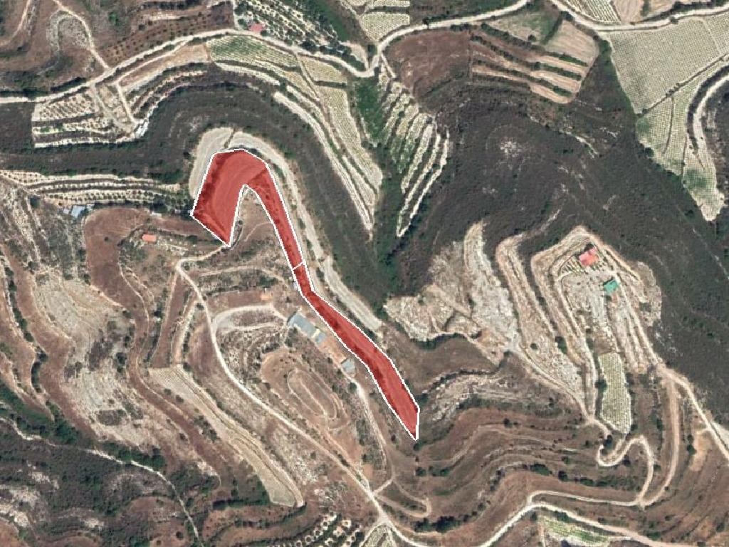 Field - Pachna, Limassol