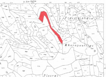 Pachna, Limassol Agricultural Field For Sale | WW27945