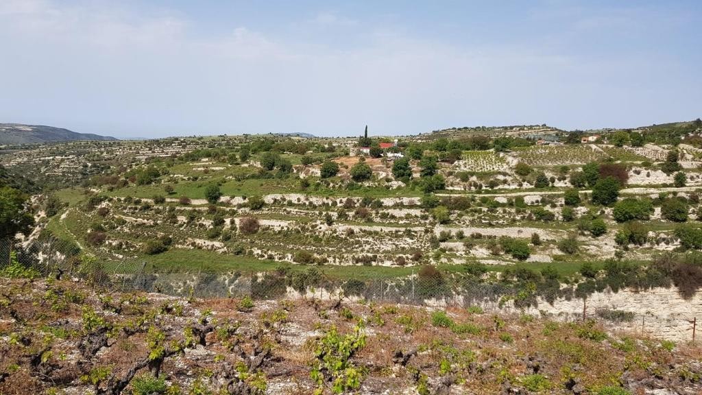 Vasa Koilaniou Residential Field For Sale | WW27948