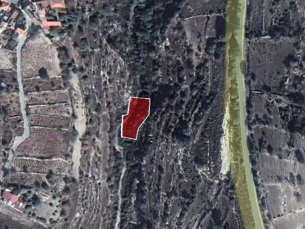 Field - Vasa Koilaniou, Limassol