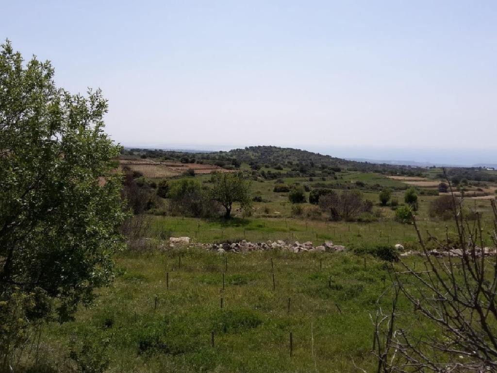 Pachna, Limassol Agricultural Field For Sale | WW27950