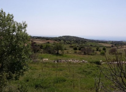 Pachna, Limassol Agricultural Field For Sale | WW27950
