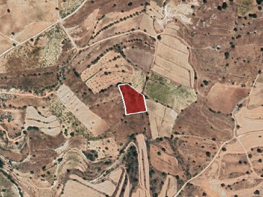 Field - Pachna, Limassol