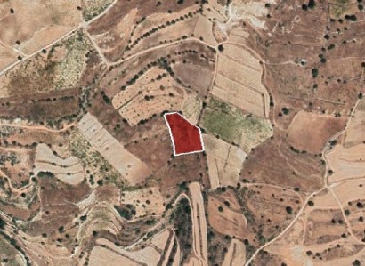 Pachna, Limassol Agricultural Field For Sale | WW27950