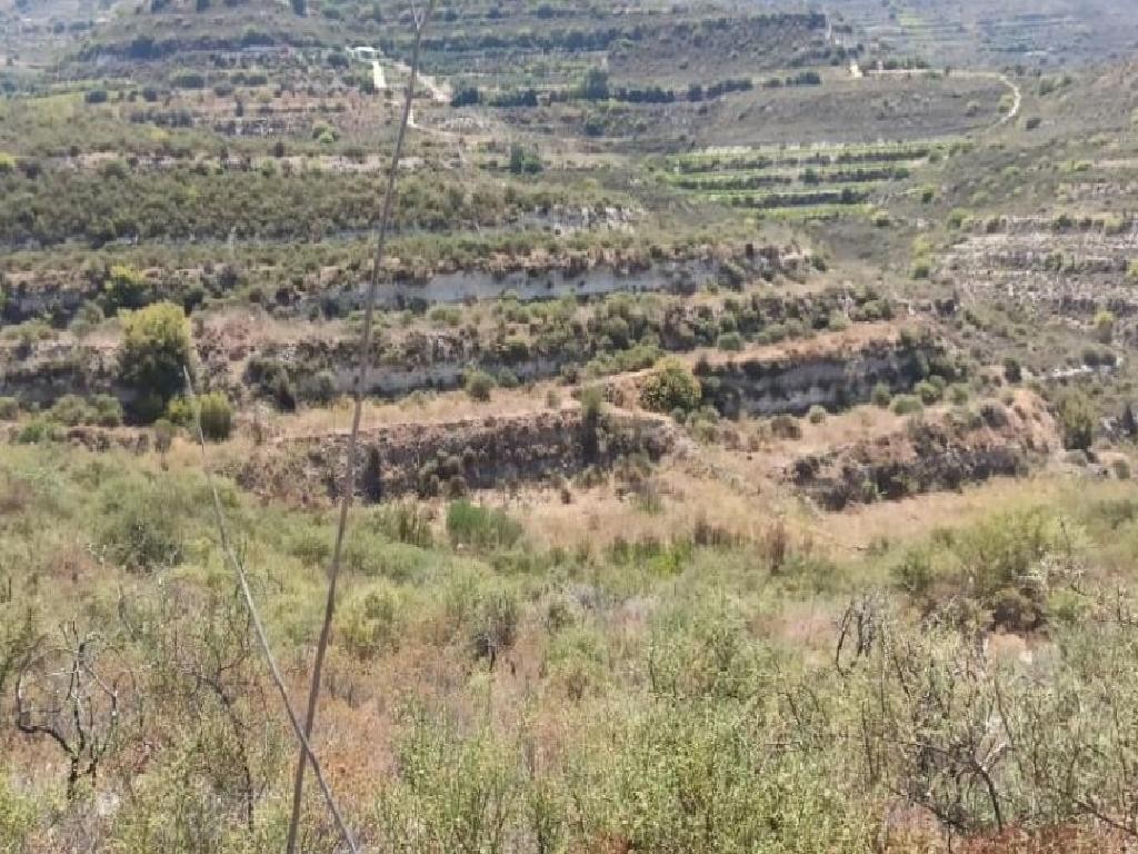 Pachna, Limassol Agricultural Field For Sale | WW27952