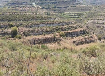 Pachna, Limassol Agricultural Field For Sale | WW27952