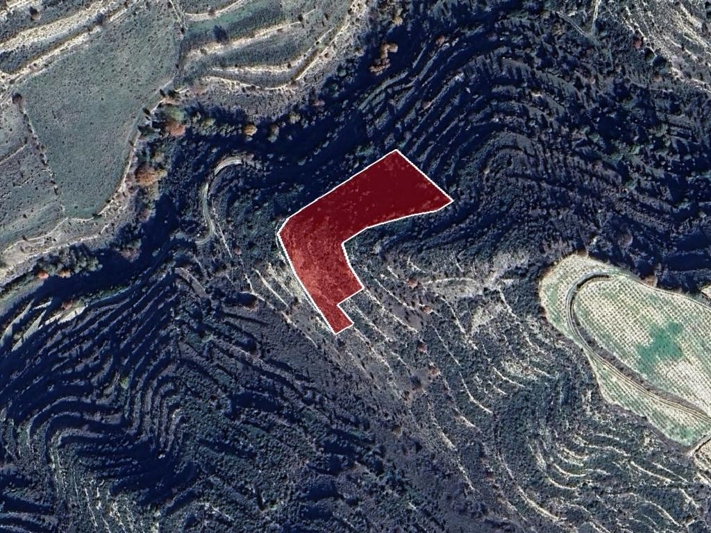 Field - Pachna, Limassol