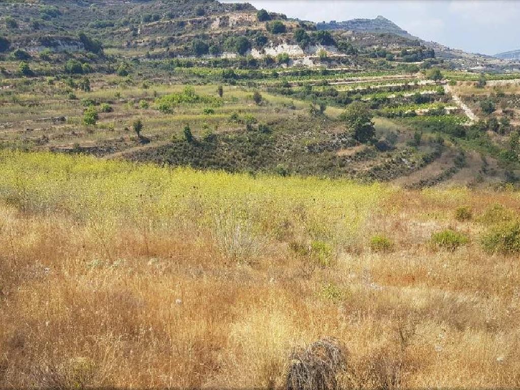 Pachna, Limassol Agricultural Field For Sale | WW27953