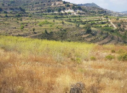 Pachna, Limassol Agricultural Field For Sale | WW27953