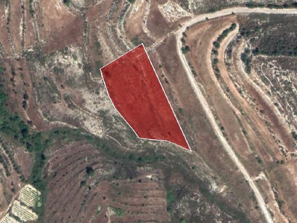 Field - Pachna, Limassol