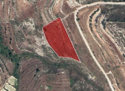 Pachna, Limassol Agricultural Field For Sale | WW27953