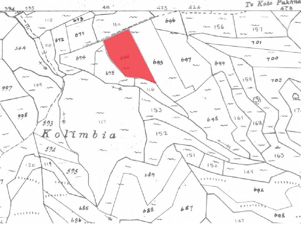 Field - Pachna, Limassol