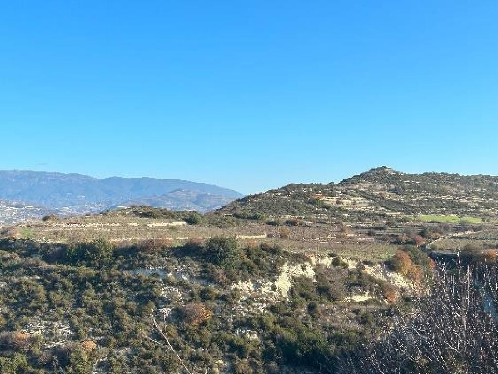 Pachna, Limassol Agricultural Field For Sale | WW27954