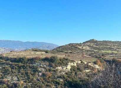 Pachna, Limassol Agricultural Field For Sale | WW27954