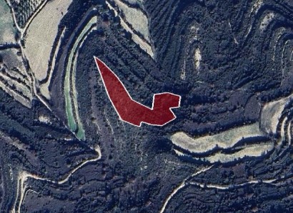 Pachna, Limassol Agricultural Field For Sale | WW27954