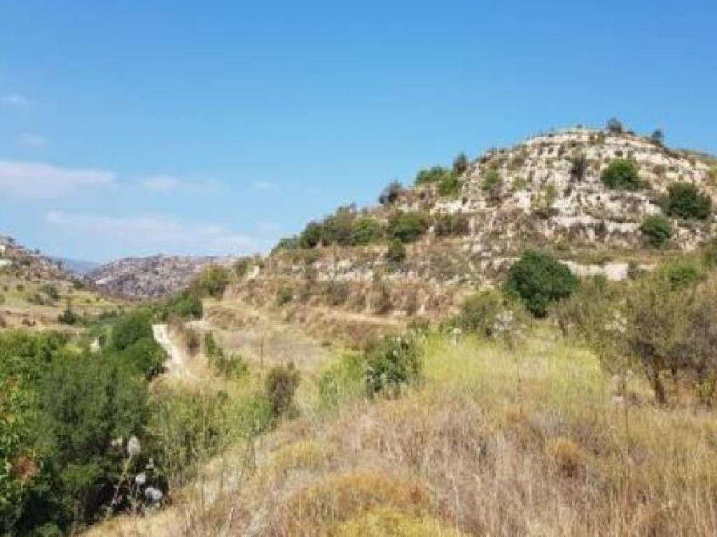 Pachna, Limassol Agricultural Field For Sale | WW27956