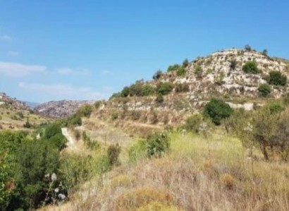 Pachna, Limassol Agricultural Field For Sale | WW27956