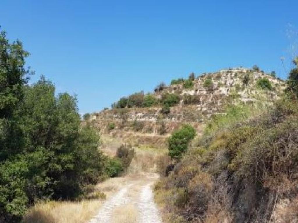 Field - Pachna, Limassol