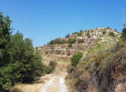 Pachna, Limassol Agricultural Field For Sale | WW27956