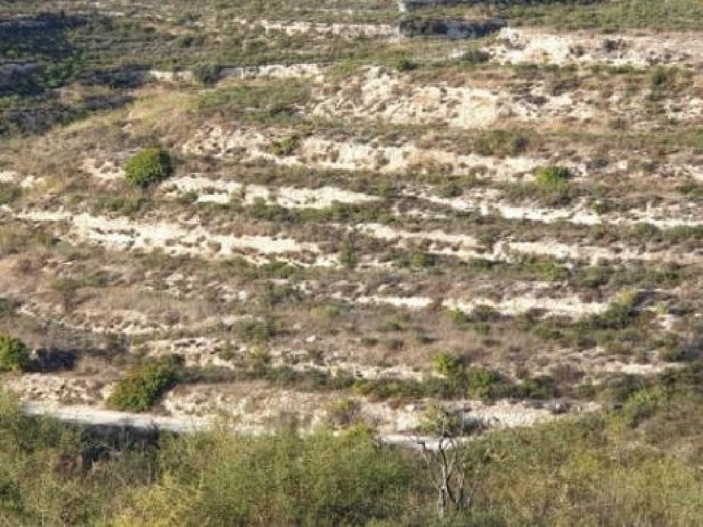 Field - Pachna, Limassol