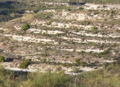 Pachna, Limassol Agricultural Field For Sale | WW27956