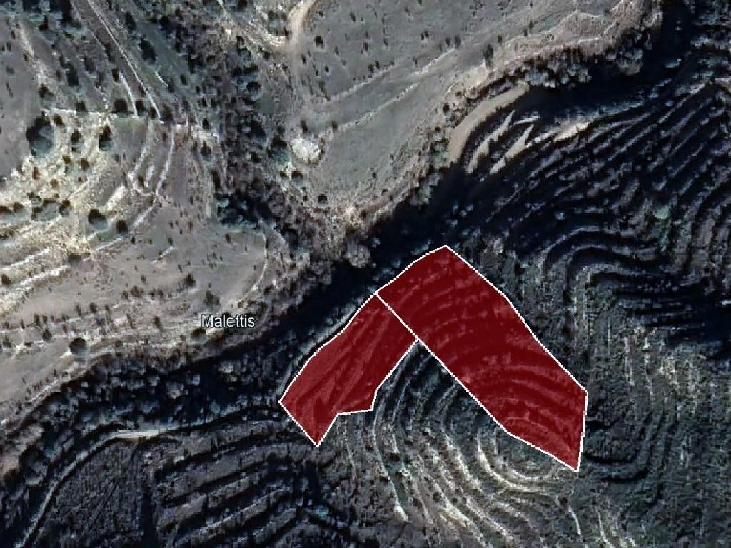 Field - Pachna, Limassol
