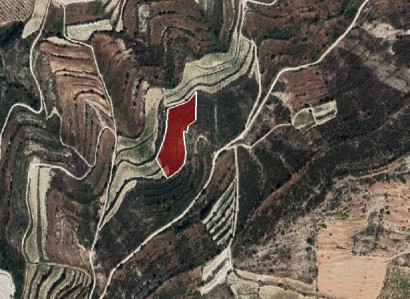 Pachna, Limassol Agricultural Field For Sale | WW27957